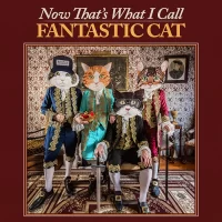 Fantastic Cat – Now That's What I Call Fantastic Cat