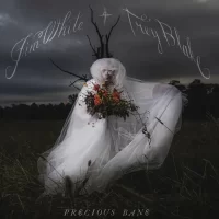 Jim White and Trey Blake – Precious Bane